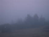 05 : 29