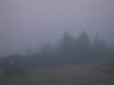 05 : 41