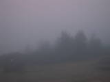 05 : 49
