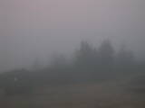 06 : 01