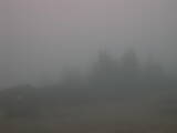06 : 17