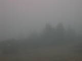 06 : 29