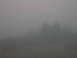 06 : 41