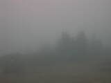 07 : 29