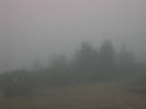 07 : 49