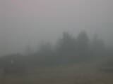 08 : 01