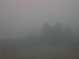 08 : 17