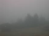 08 : 21