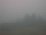 08 : 25