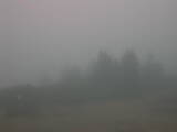 08 : 29