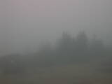 08 : 33