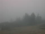 08 : 37