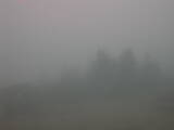 08 : 41