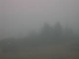 08 : 49