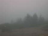08 : 53