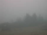 09 : 05