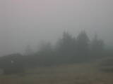 09 : 13