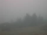 09 : 17