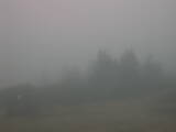 09 : 21