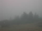 09 : 29