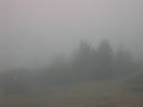 13 : 01