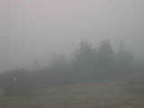 13 : 09