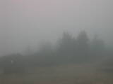 13 : 13