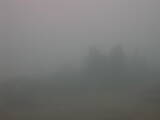 13 : 33