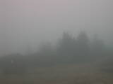 14 : 01