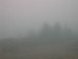 14 : 05
