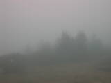 14 : 17