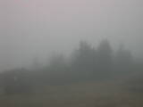 14 : 21