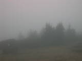 14 : 25