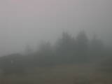 15 : 37