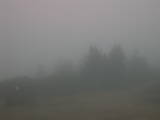 15 : 53