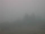 17 : 25