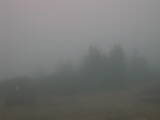 18 : 09