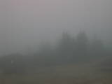 18 : 21