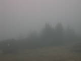 18 : 25