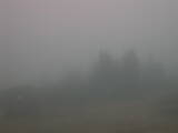 18 : 29