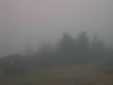 18 : 41