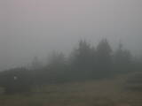 18 : 49
