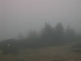 18 : 53