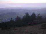 20 : 49