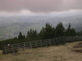 16 : 25