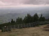 16 : 37