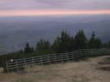 19 : 25