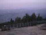 04 : 49