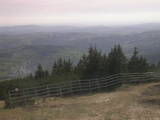 16 : 49