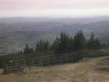 16 : 53